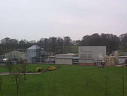 Cameronbridge 