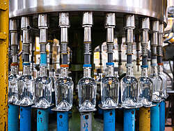Bottling of Canaima Gin