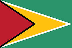 Flag of Guyana