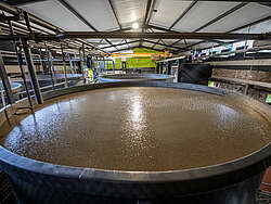 Neisson fermentation tanks