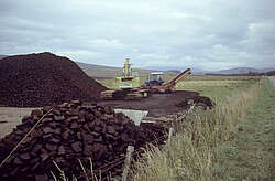 Peat