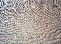 Distinctive pattern created on the fermentation tank by the yeast