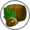 Oak