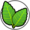:Mint: